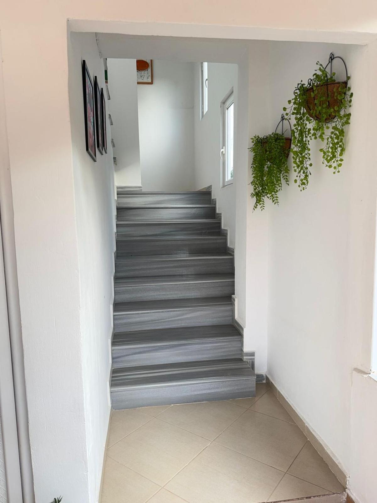 Appartement Shehu *